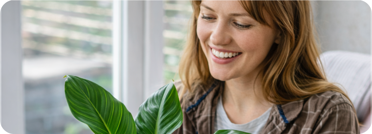 Plant care