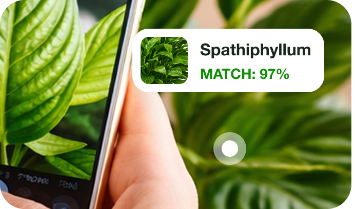 Recognize over 30,000 species