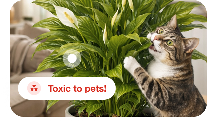 Check toxicity